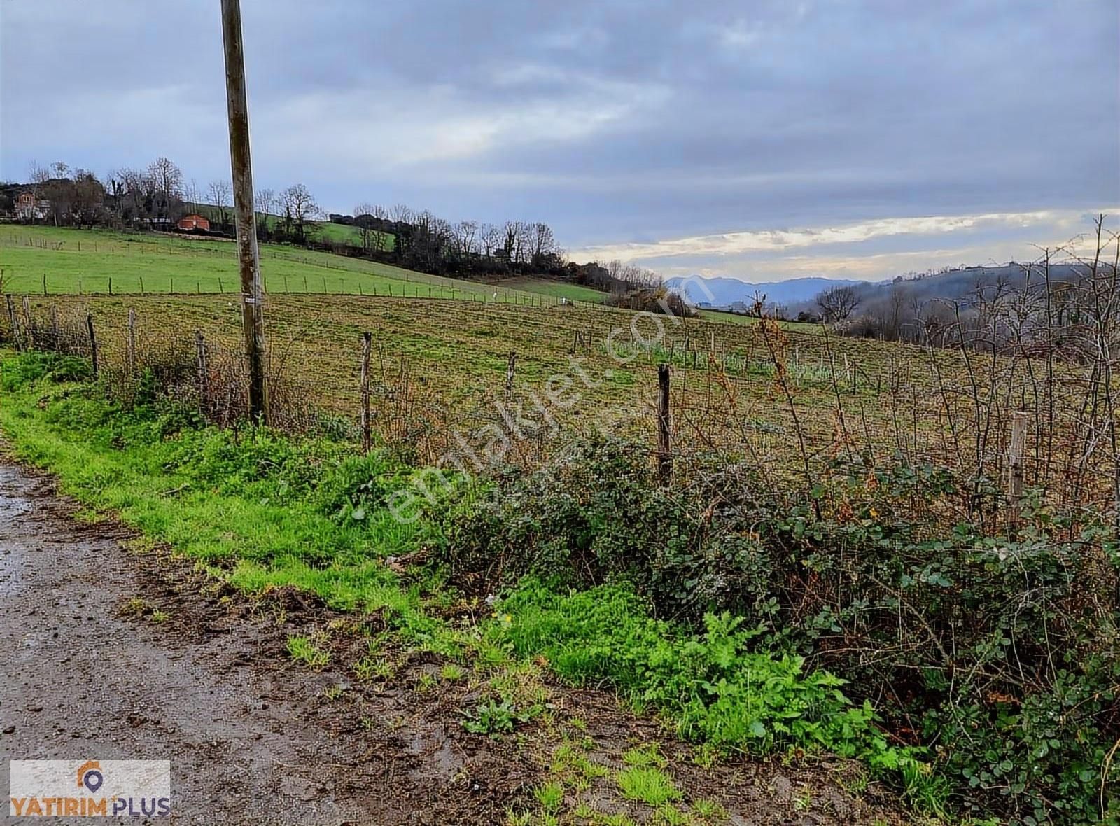 Yatırım Plus'tan Bafra Köselide Köyiçi İmarlı Satılık Tarla - Görsel 22