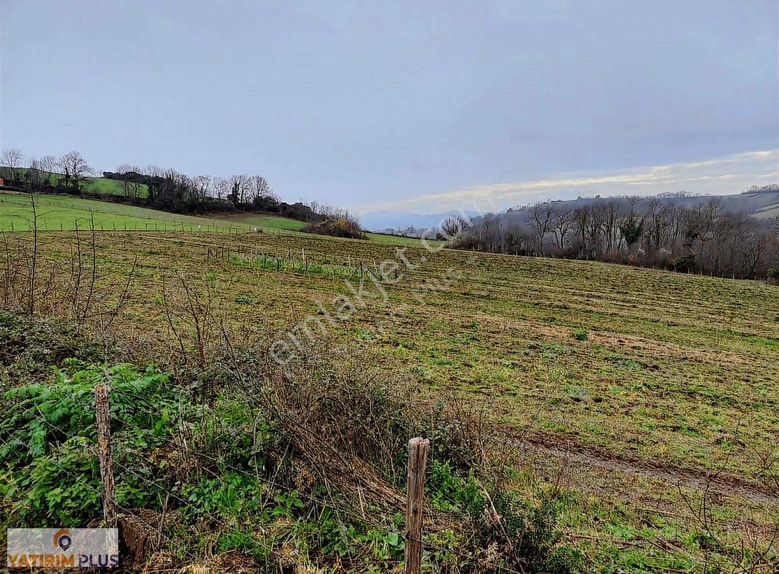 Yatırım Plus'tan Bafra Köselide Köyiçi İmarlı Satılık Tarla - Görsel 2