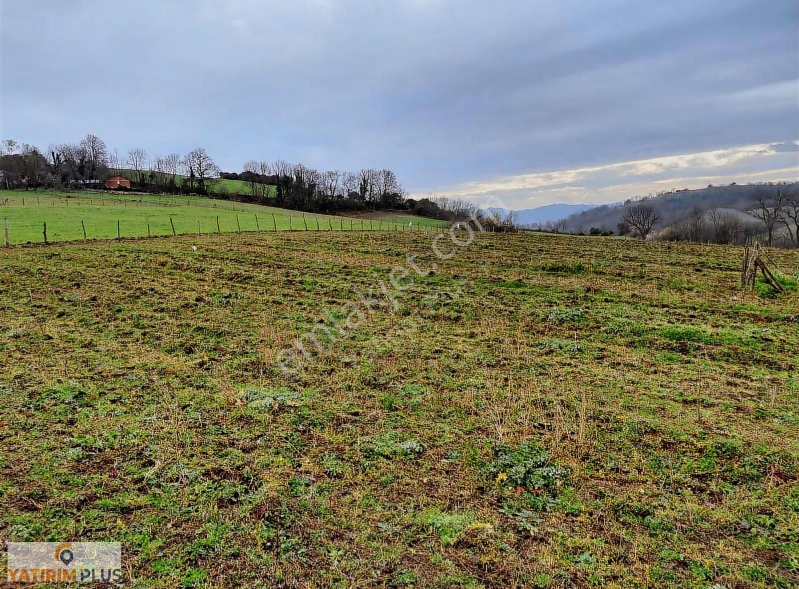 Yatırım Plus'tan Bafra Köselide Köyiçi İmarlı Satılık Tarla - Görsel 9