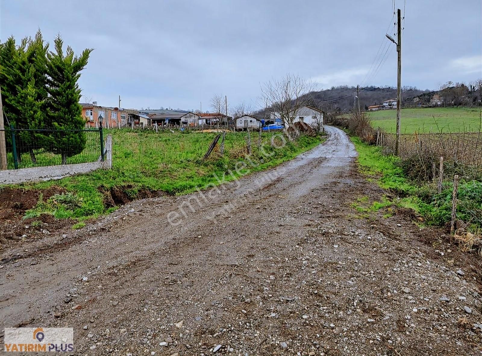 Yatırım Plus'tan Bafra Köselide Köyiçi İmarlı Satılık Tarla - Görsel 14