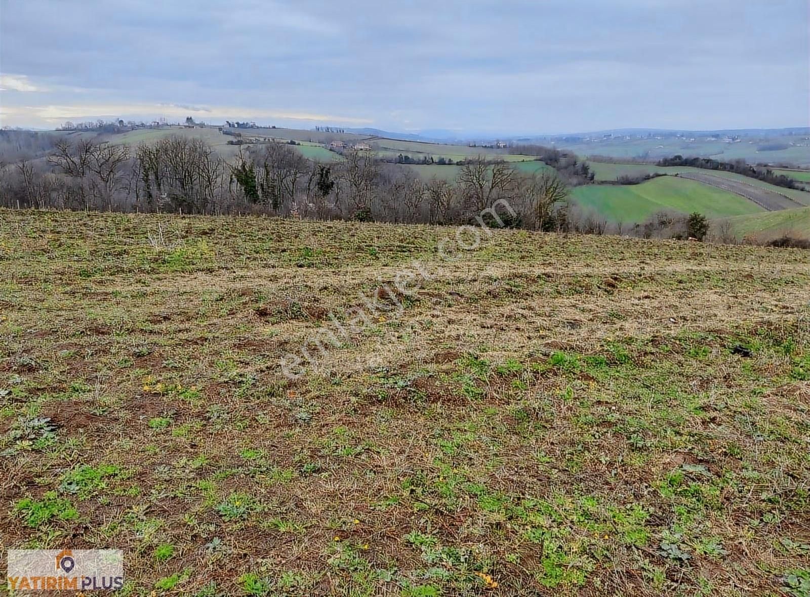 Yatırım Plus'tan Bafra Köselide Köyiçi İmarlı Satılık Tarla - Görsel 15