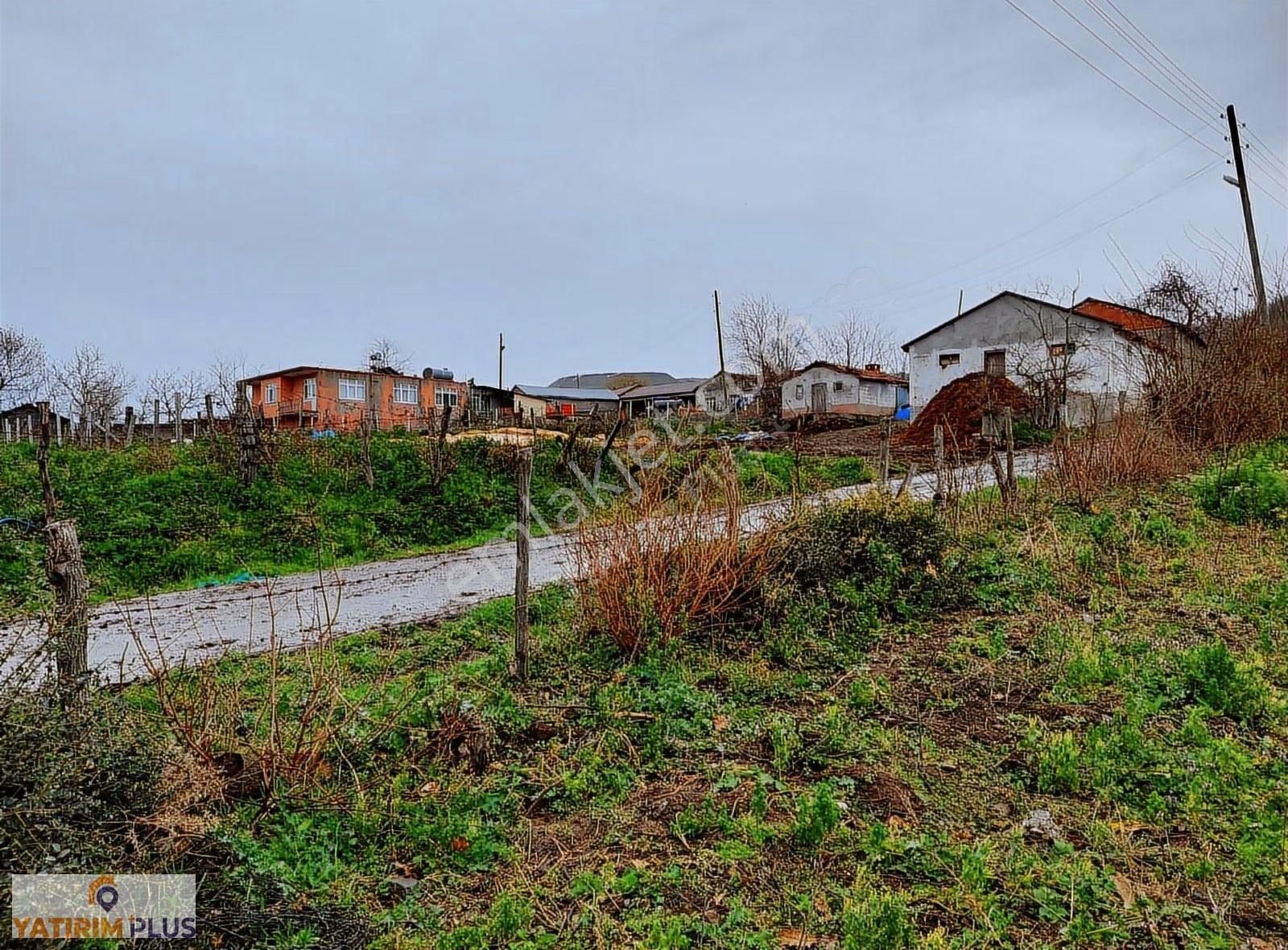 Yatırım Plus'tan Bafra Köselide Köyiçi İmarlı Satılık Tarla - Görsel 10