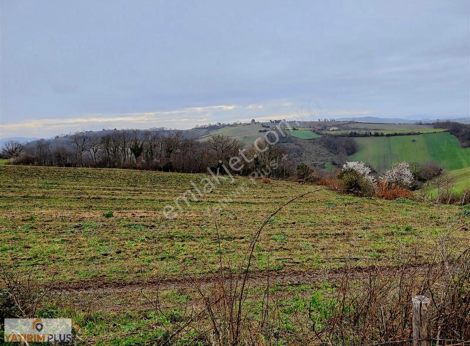 Yatırım Plus'tan Bafra Köselide Köyiçi İmarlı Satılık Tarla - Görsel 23