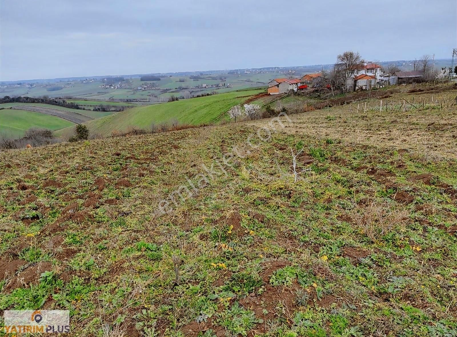 Yatırım Plus'tan Bafra Köselide Köyiçi İmarlı Satılık Tarla - Görsel 33