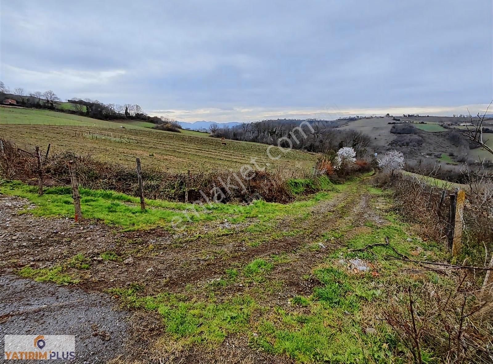 Yatırım Plus'tan Bafra Köselide Köyiçi İmarlı Satılık Tarla - Görsel 3