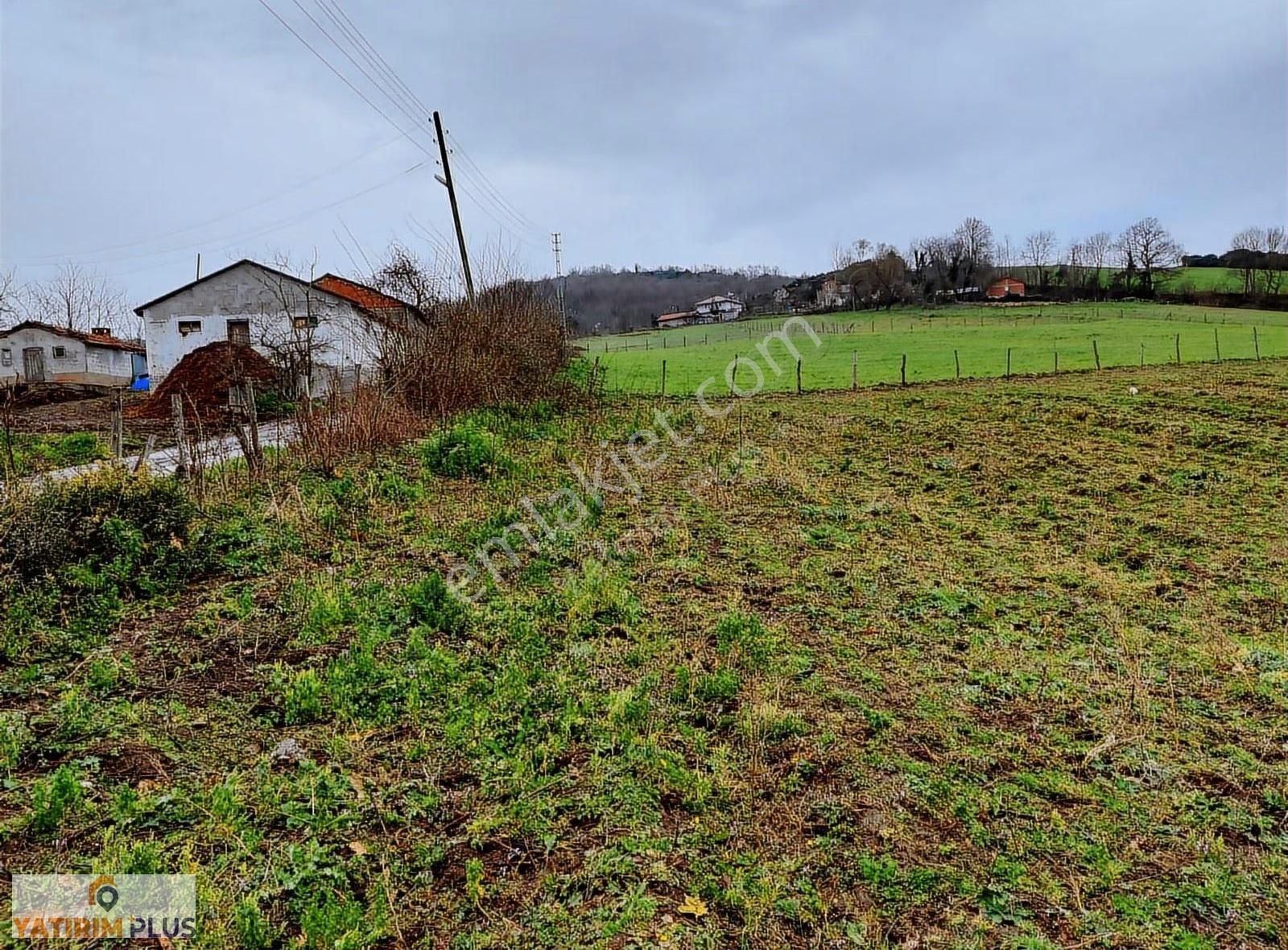 Yatırım Plus'tan Bafra Köselide Köyiçi İmarlı Satılık Tarla - Görsel 28