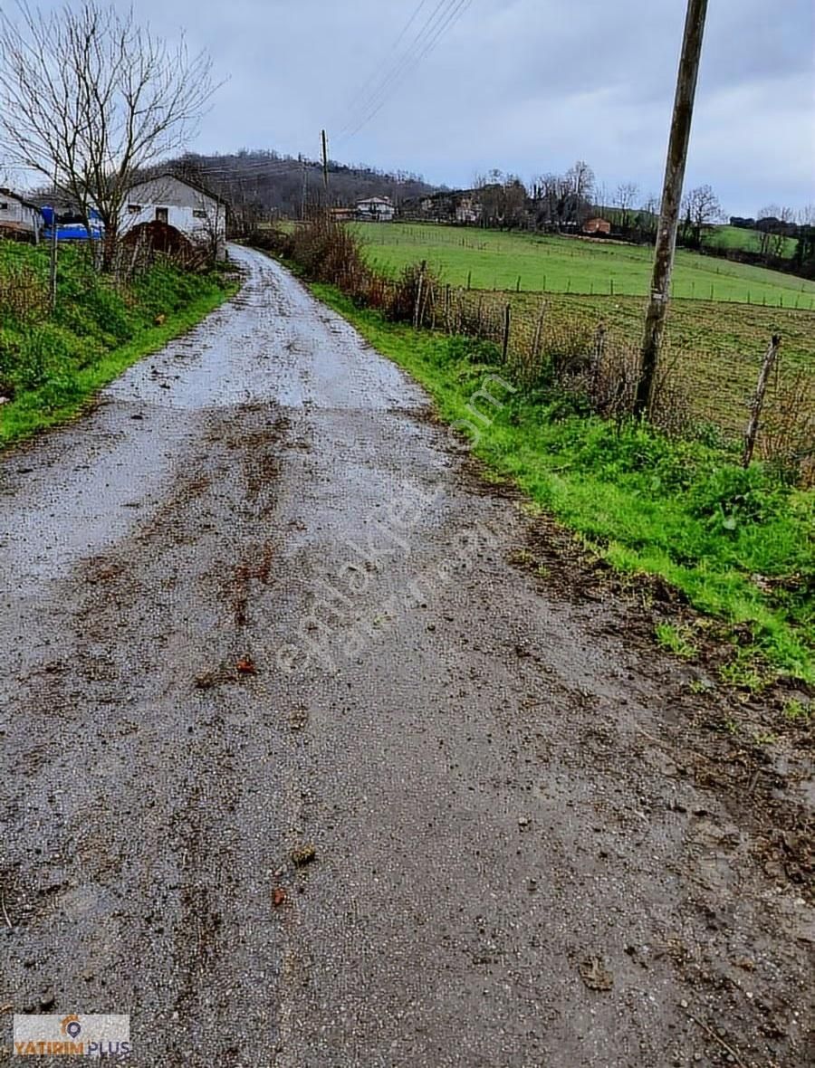 Yatırım Plus'tan Bafra Köselide Köyiçi İmarlı Satılık Tarla - Görsel 7