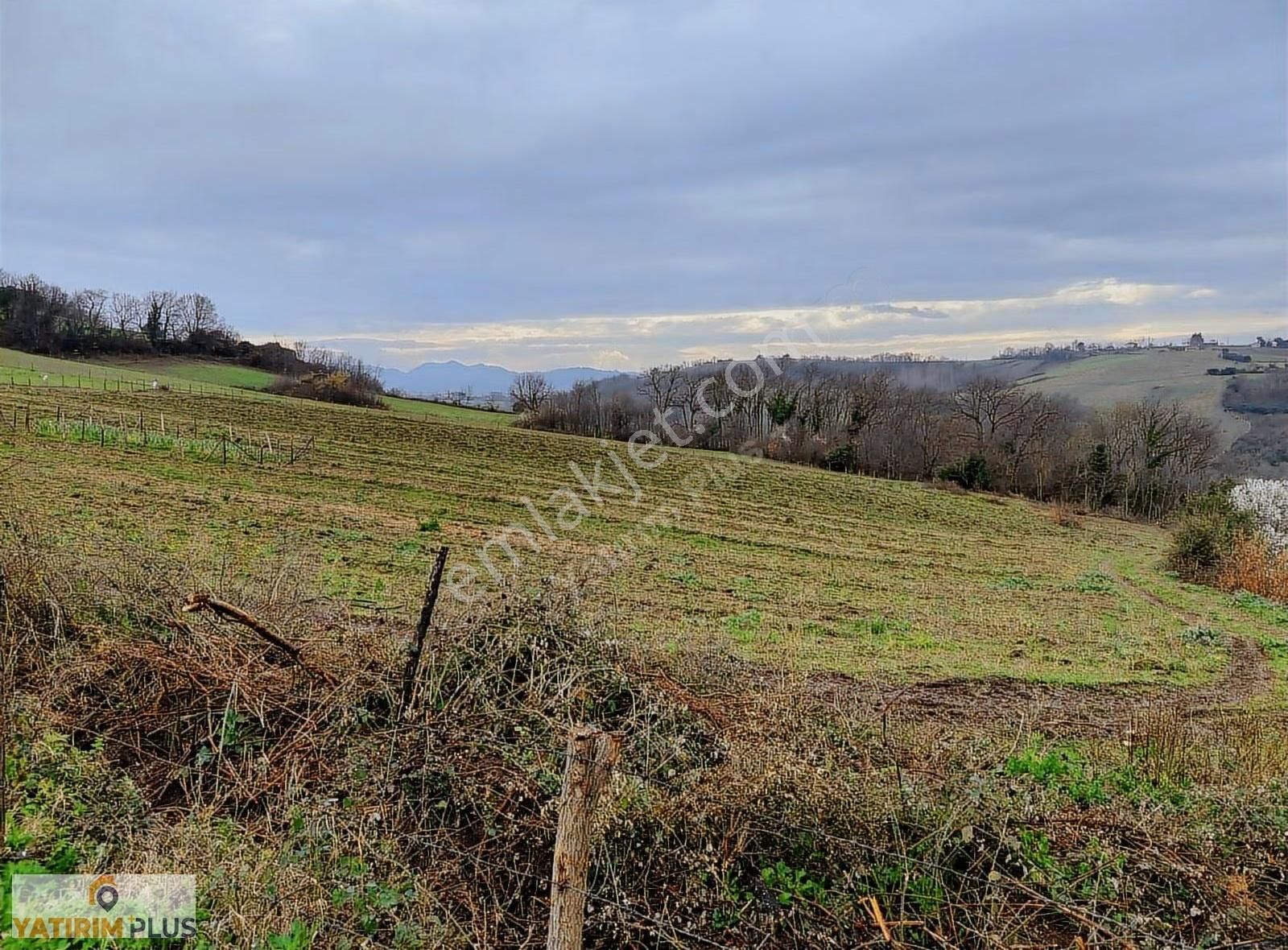 Yatırım Plus'tan Bafra Köselide Köyiçi İmarlı Satılık Tarla - Görsel 32
