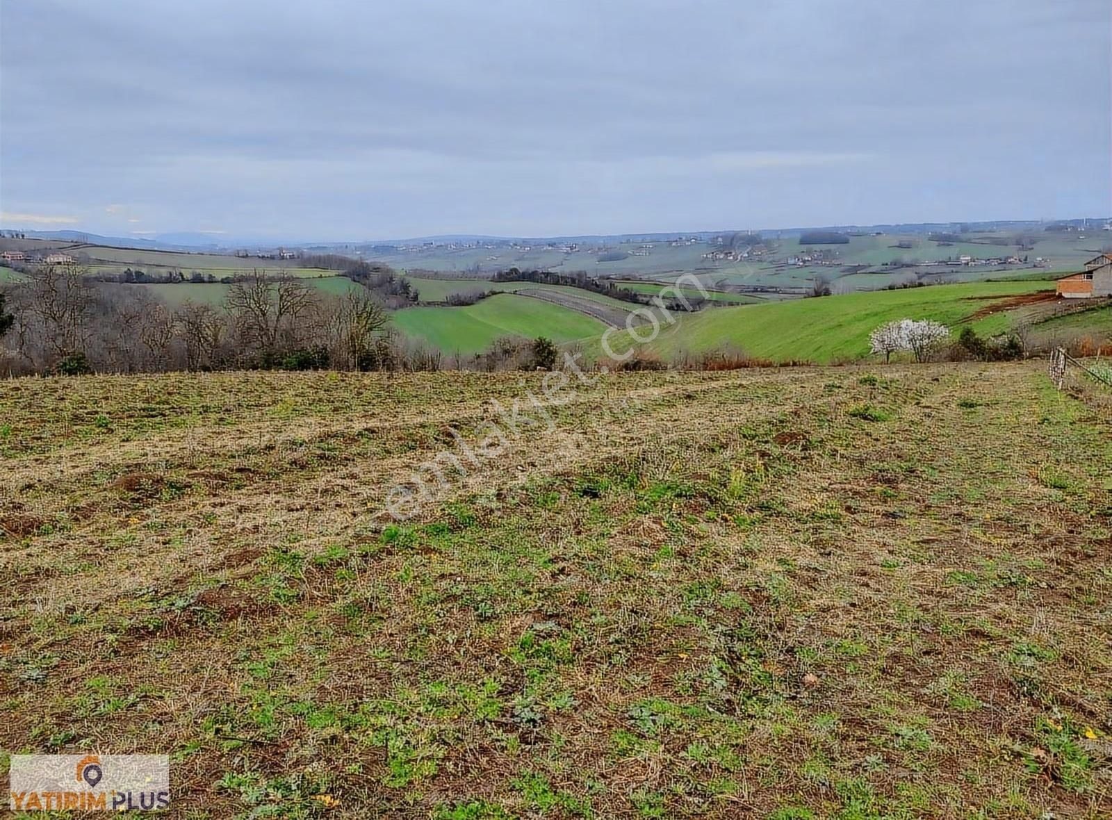 Yatırım Plus'tan Bafra Köselide Köyiçi İmarlı Satılık Tarla - Görsel 4