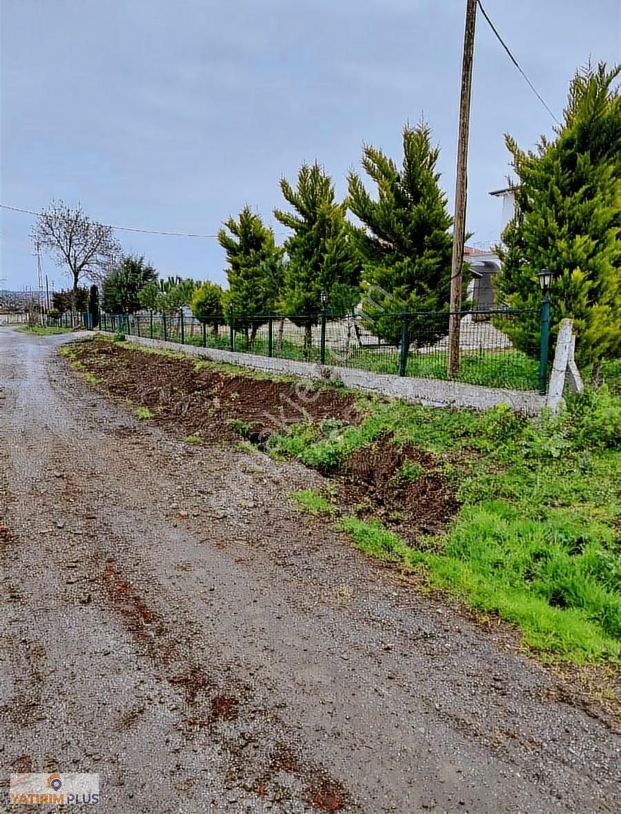 Yatırım Plus'tan Bafra Köselide Köyiçi İmarlı Satılık Tarla - Görsel 11