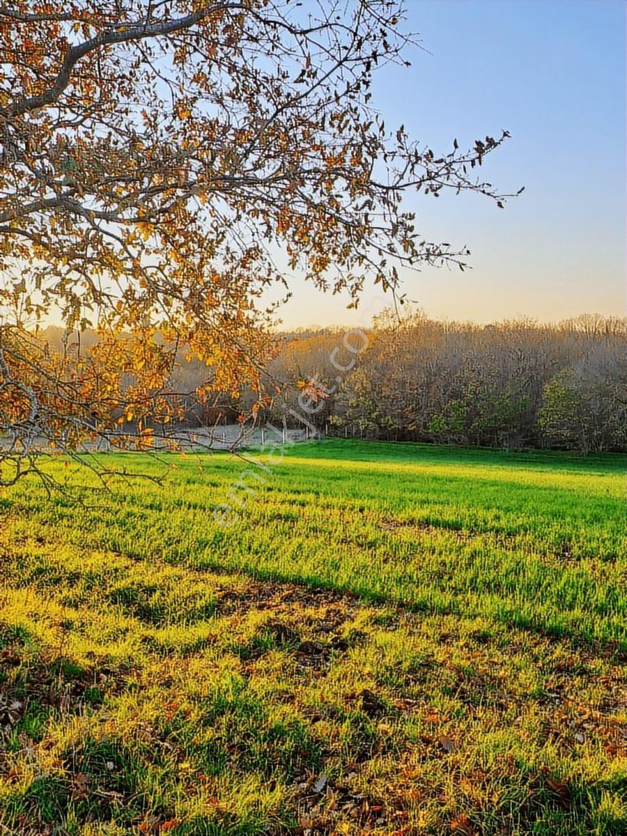 Cayırderenın En Guzel Bolgesı Kusbahcede 387 M2 Yatırımlık Arsa - Görsel 2