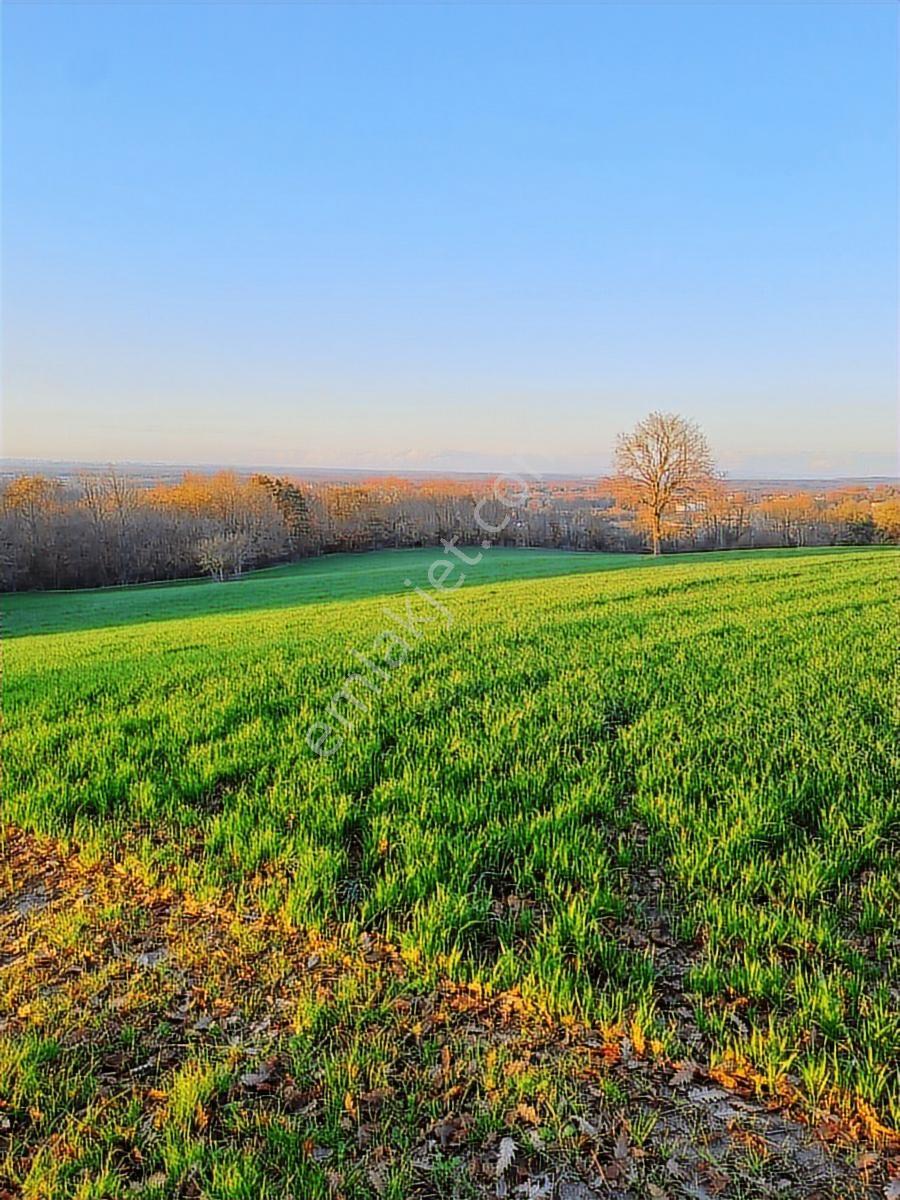 Cayırderenın En Guzel Bolgesı Kusbahcede 387 M2 Yatırımlık Arsa - Görsel 7