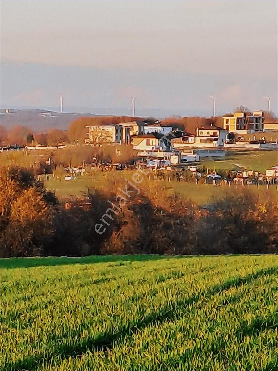 Cayırderenın En Guzel Bolgesı Kusbahcede 387 M2 Yatırımlık Arsa