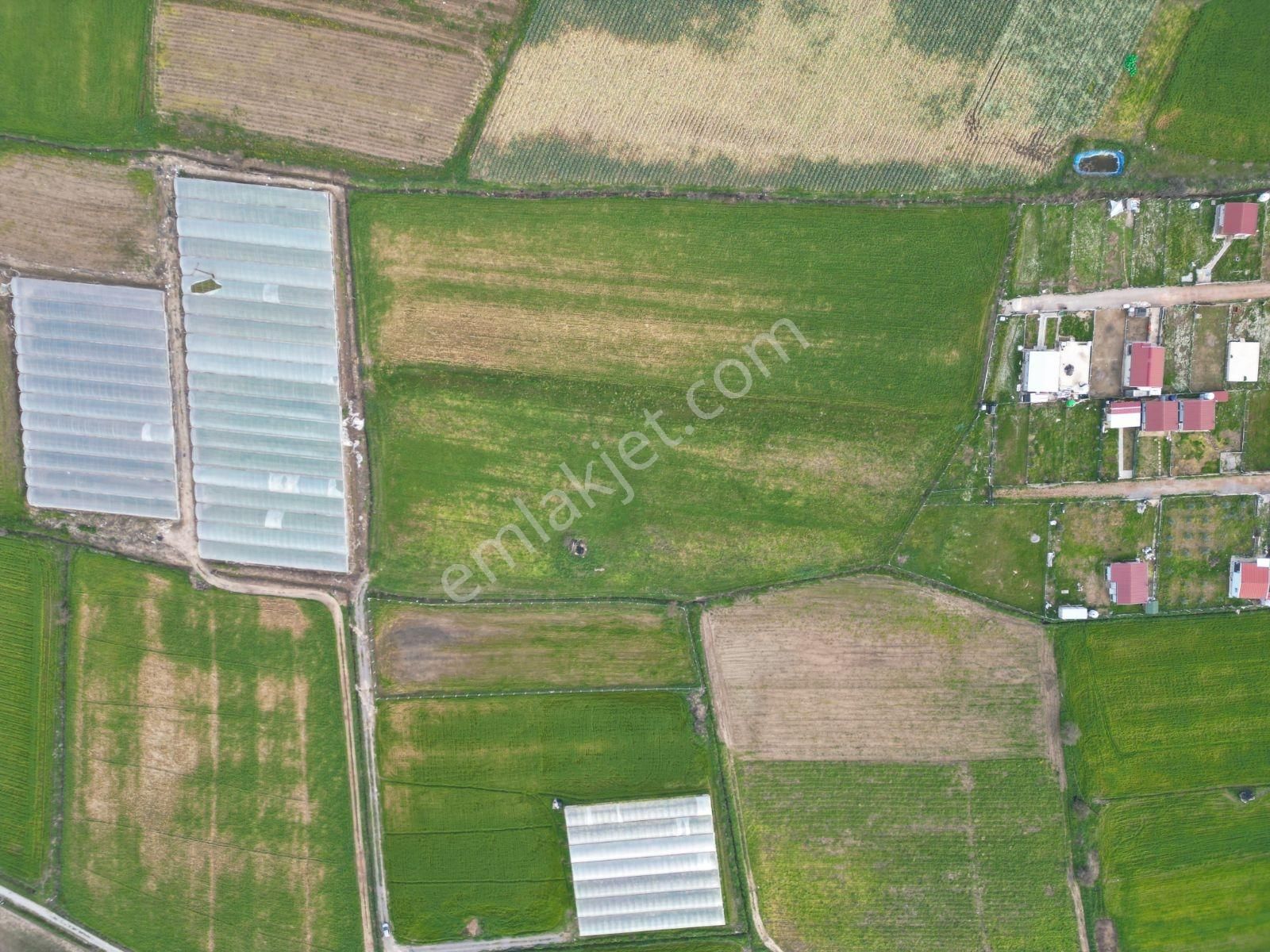 9281m² Tek Tapu Dev Arazi Bu Fiyata Emsali Yok! - Görsel 12