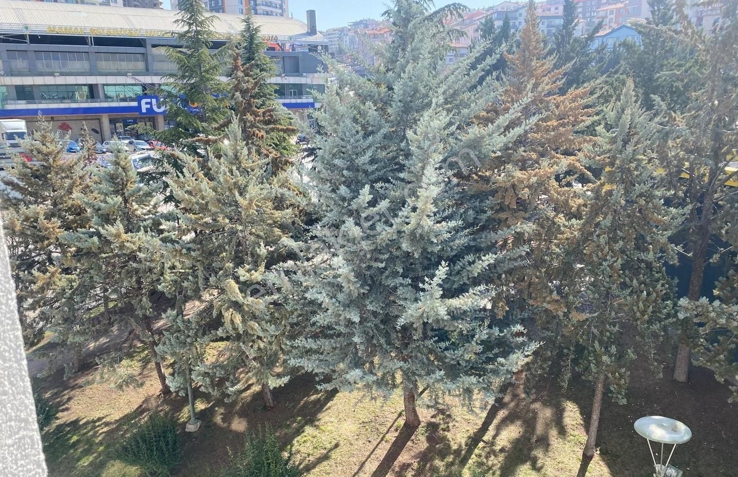 Kapalı Pazar Yeri Karşısı 3+1 Köşe Daire - Görsel 7