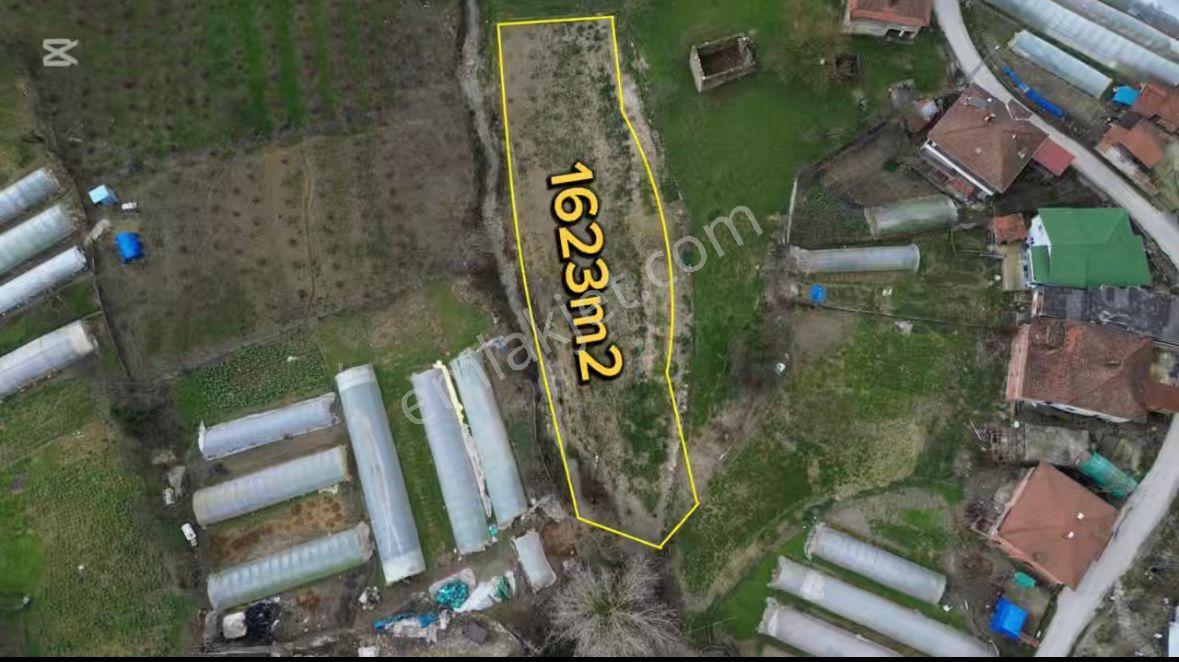 Bilgin Emlaktan Yeni Tokilerin Altında Yola Cepheli Satılık Arsa - Görsel 3