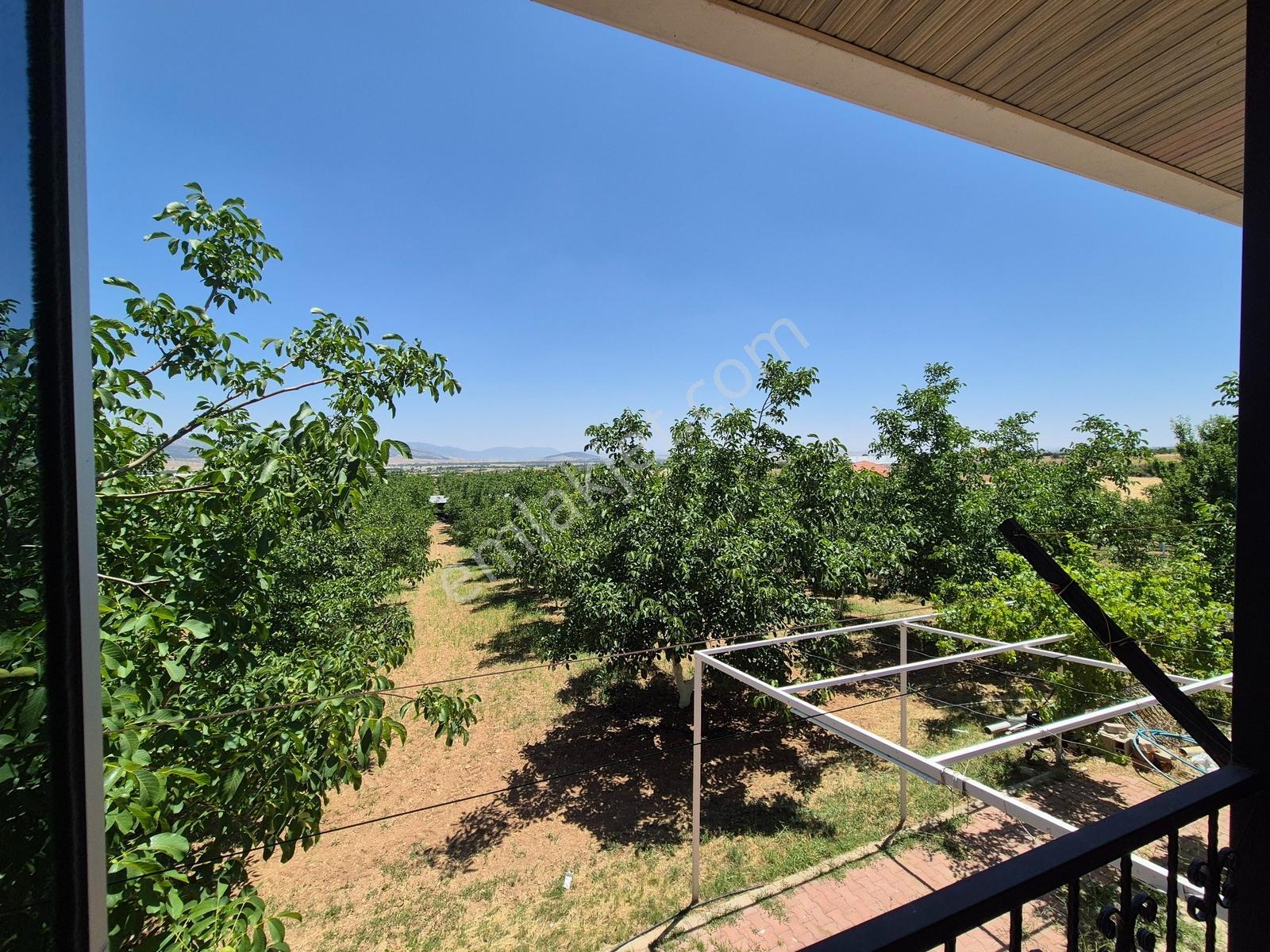 Yeşilyayla'da Satılık 19.759m² Ceviz (chandler) Bahçesi Ve Evi - Görsel 10