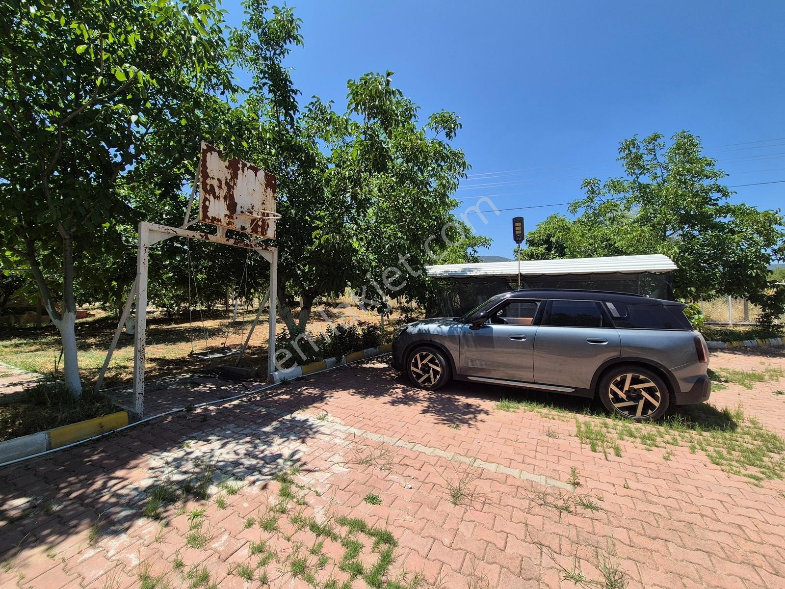 Yeşilyayla'da Satılık 19.759m² Ceviz (chandler) Bahçesi Ve Evi - Görsel 8