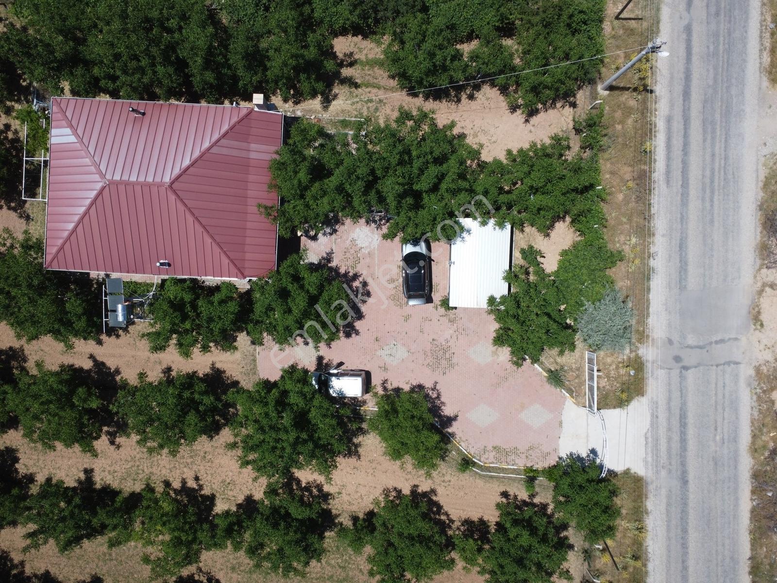Yeşilyayla'da Satılık 19.759m² Ceviz (chandler) Bahçesi Ve Evi - Görsel 13