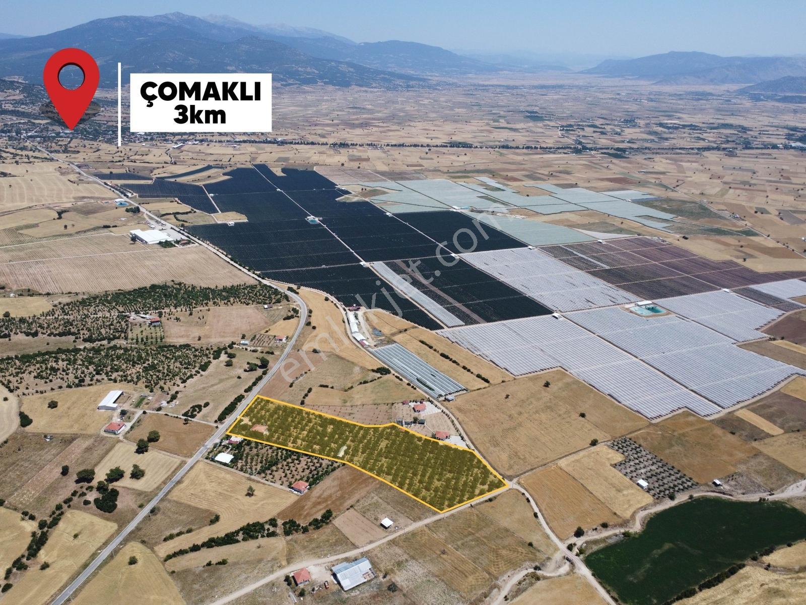 Yeşilyayla'da Satılık 19.759m² Ceviz (chandler) Bahçesi Ve Evi - Görsel 21