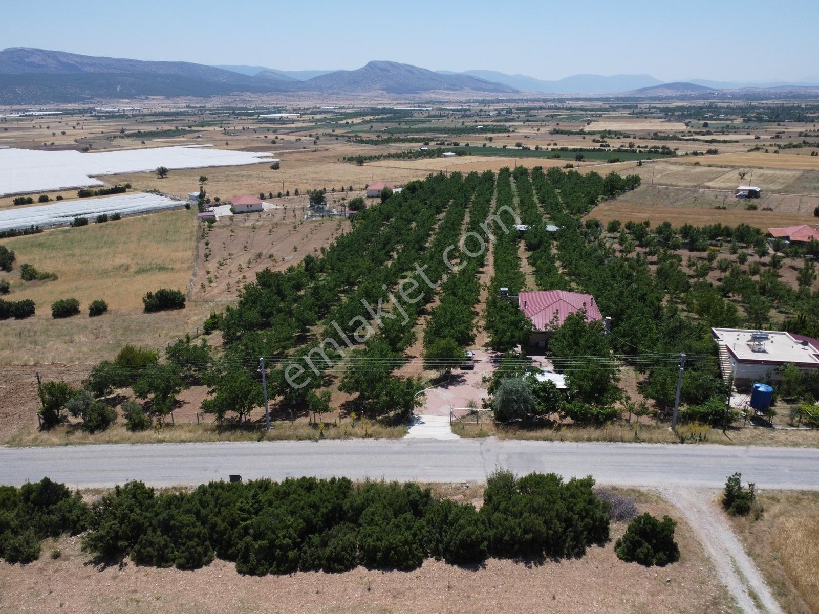 Yeşilyayla'da Satılık 19.759m² Ceviz (chandler) Bahçesi Ve Evi - Görsel 14
