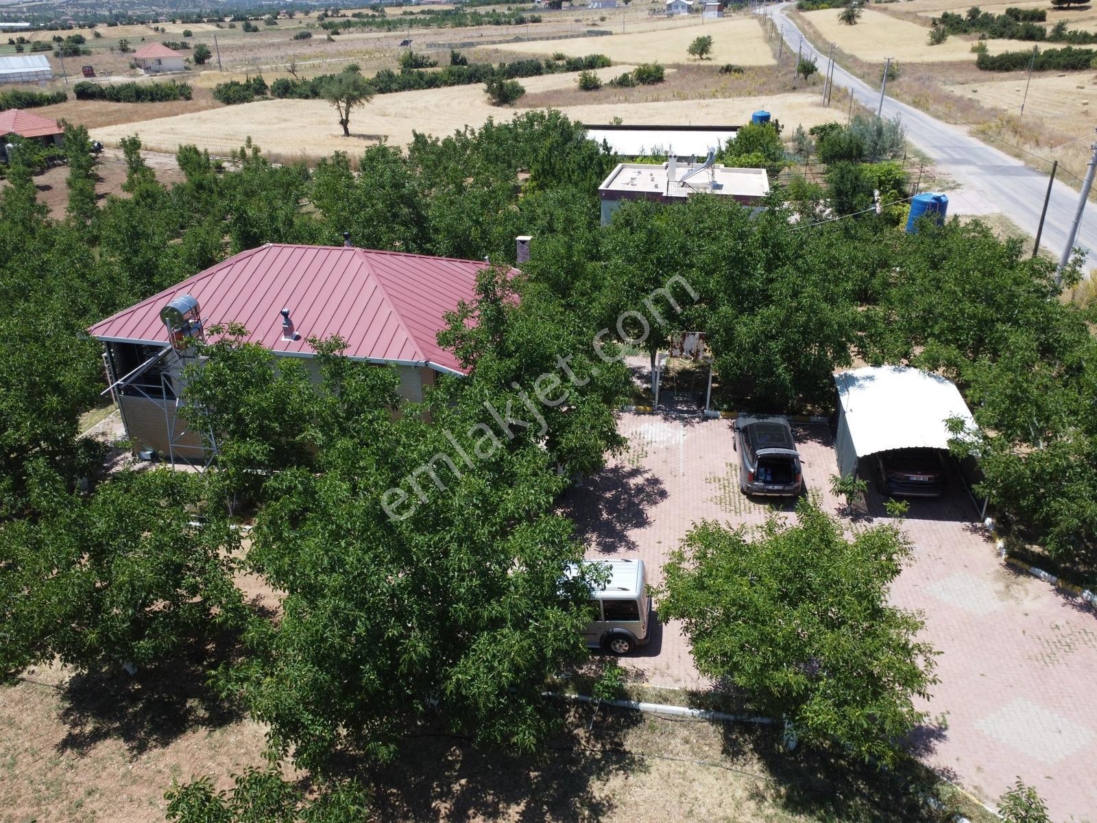 Yeşilyayla'da Satılık 19.759m² Ceviz (chandler) Bahçesi Ve Evi - Görsel 4