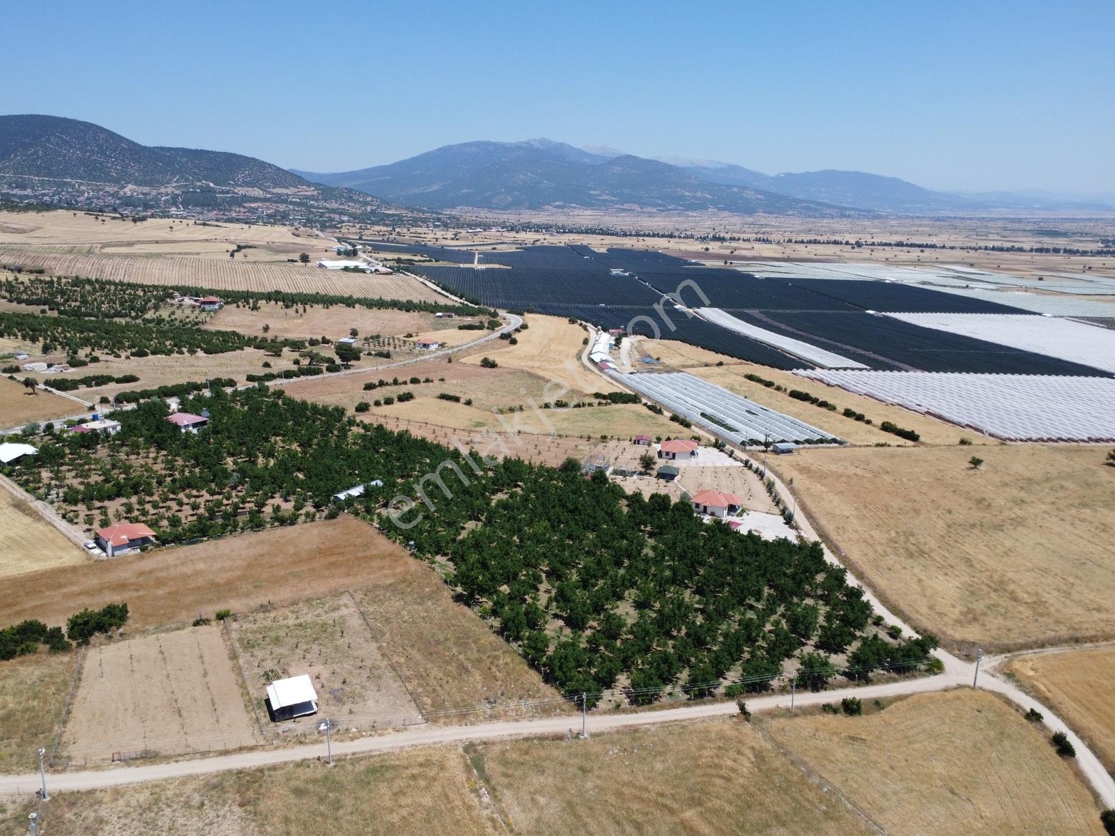 Yeşilyayla'da Satılık 19.759m² Ceviz (chandler) Bahçesi Ve Evi - Görsel 15