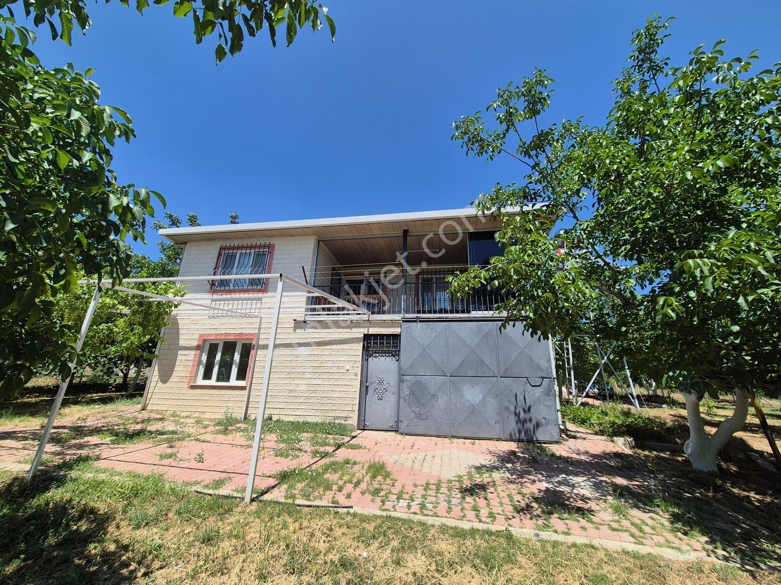 Yeşilyayla'da Satılık 19.759m² Ceviz (chandler) Bahçesi Ve Evi - Görsel 7