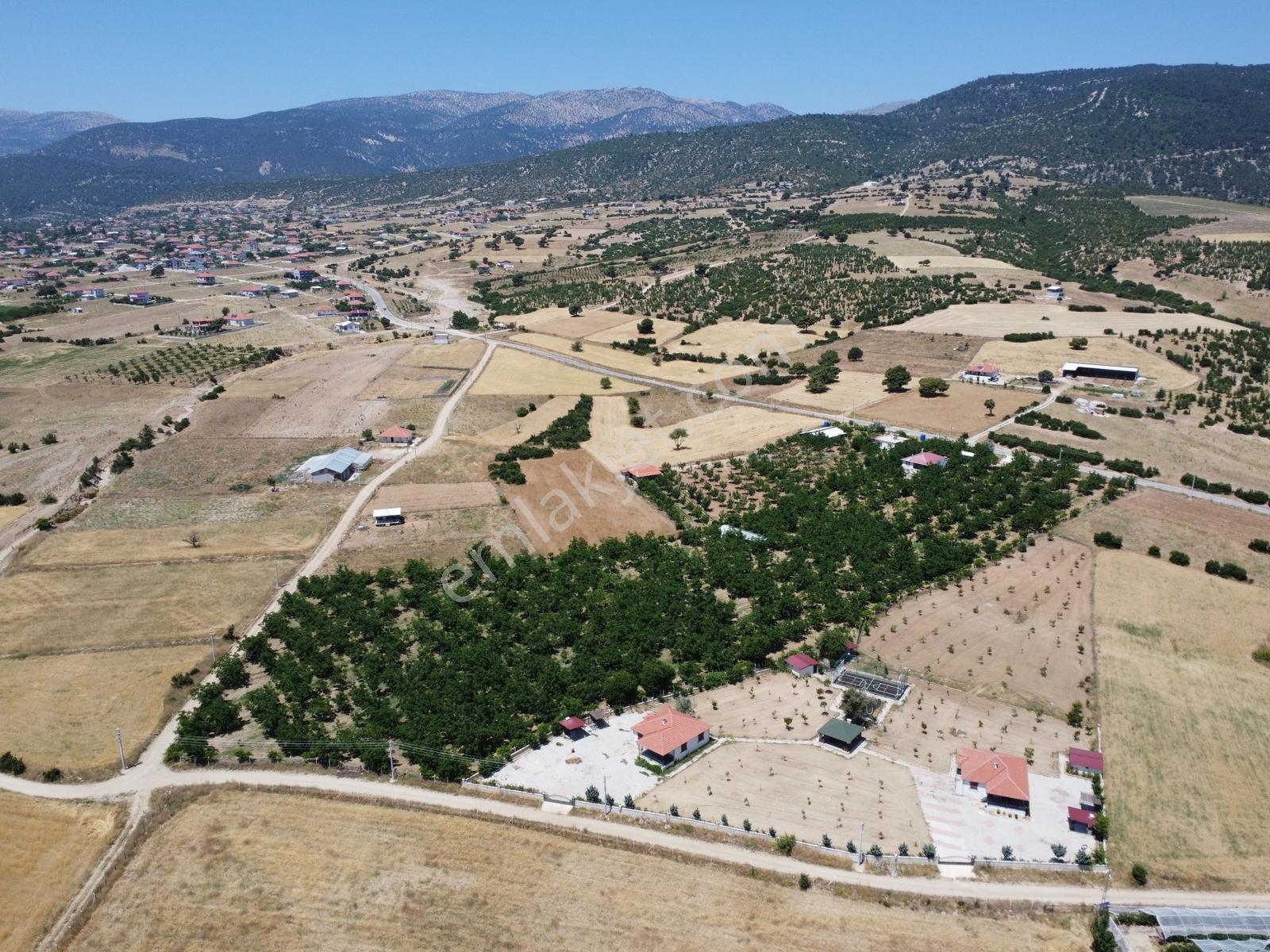 Yeşilyayla'da Satılık 19.759m² Ceviz (chandler) Bahçesi Ve Evi - Görsel 24