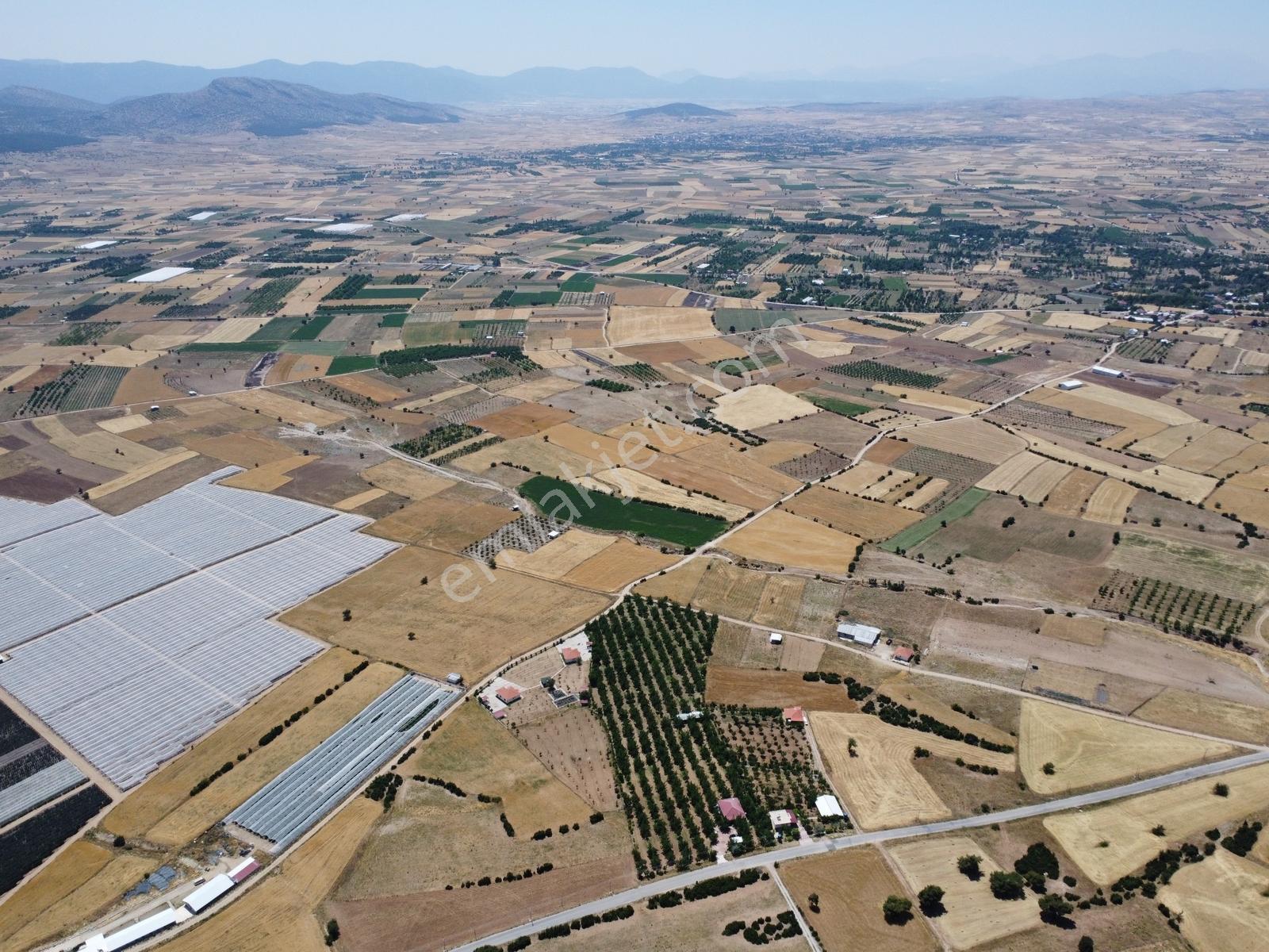 Yeşilyayla'da Satılık 19.759m² Ceviz (chandler) Bahçesi Ve Evi - Görsel 25