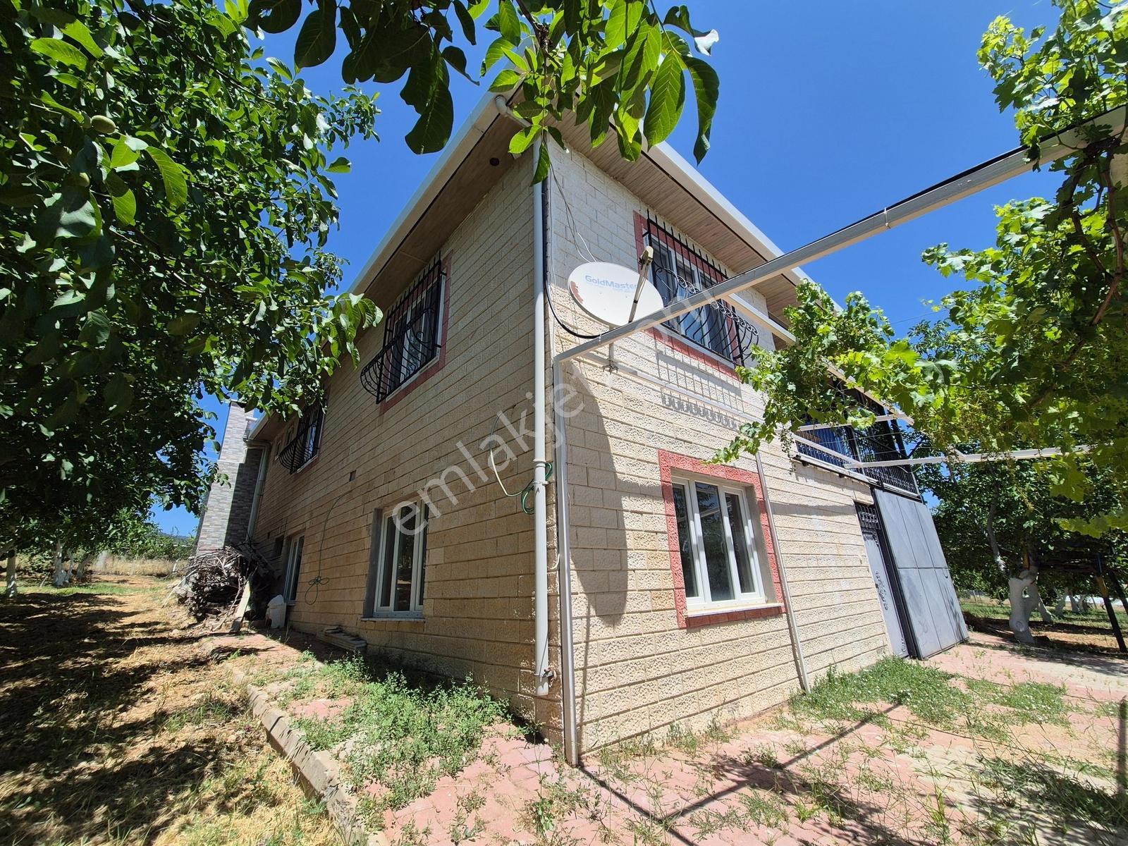 Yeşilyayla'da Satılık 19.759m² Ceviz (chandler) Bahçesi Ve Evi - Görsel 19