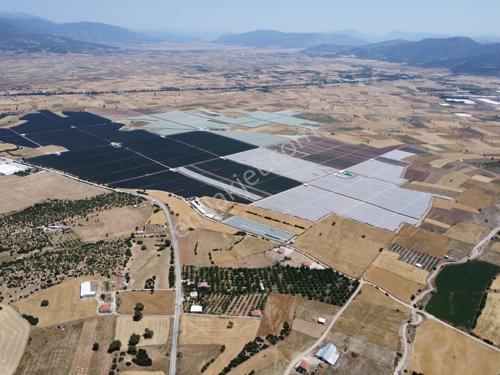 Yeşilyayla'da Satılık 19.759m² Ceviz (chandler) Bahçesi Ve Evi - Görsel 26