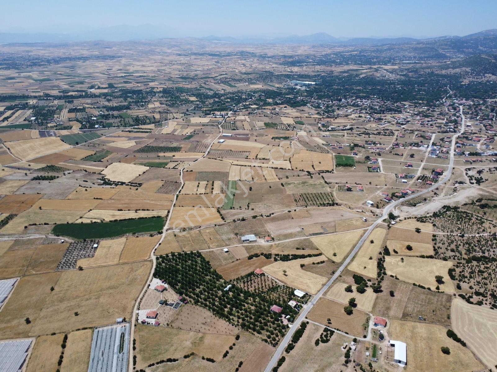 Yeşilyayla'da Satılık 19.759m² Ceviz (chandler) Bahçesi Ve Evi - Görsel 16
