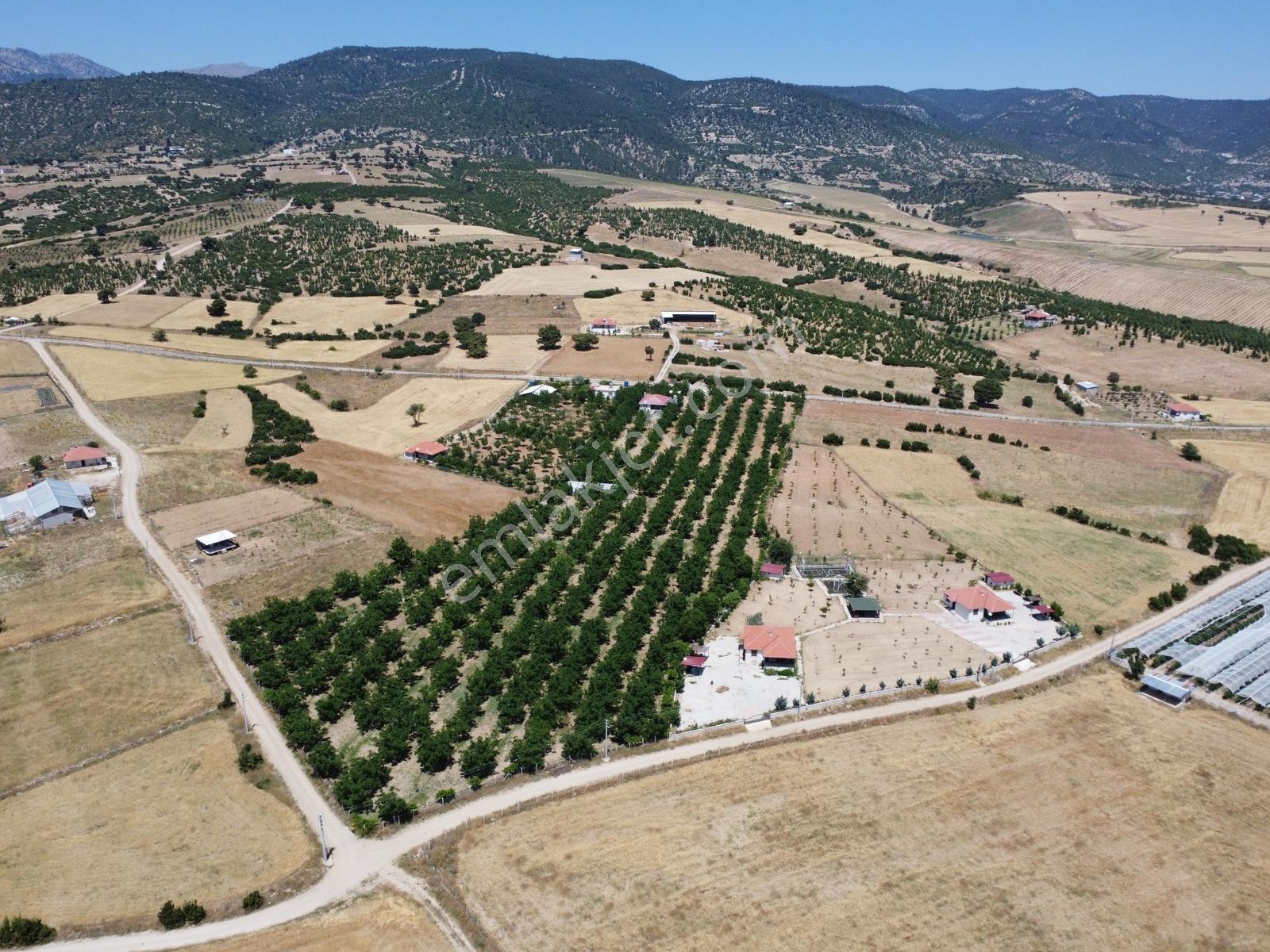 Yeşilyayla'da Satılık 19.759m² Ceviz (chandler) Bahçesi Ve Evi - Görsel 35