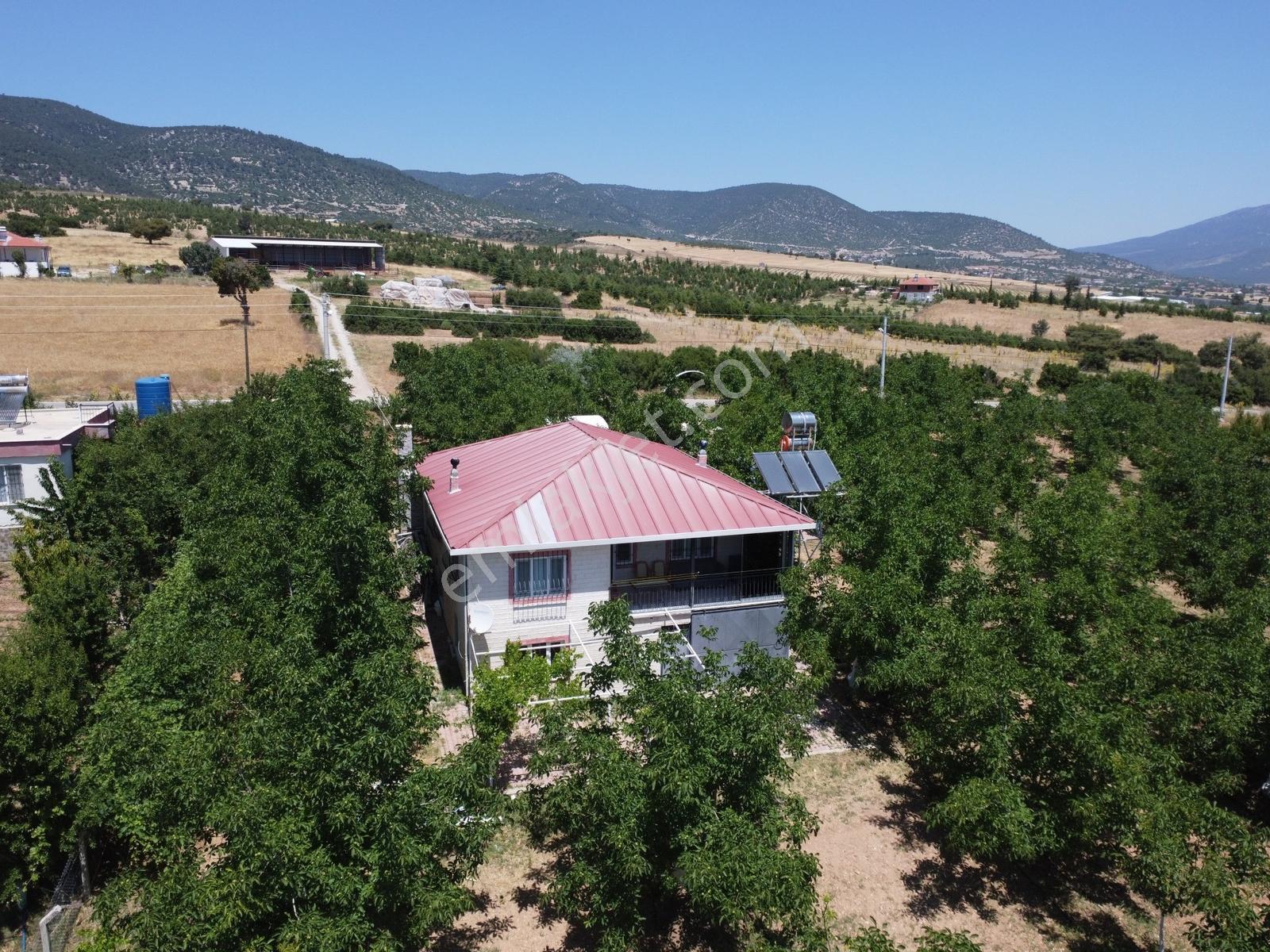 Yeşilyayla'da Satılık 19.759m² Ceviz (chandler) Bahçesi Ve Evi - Görsel 22