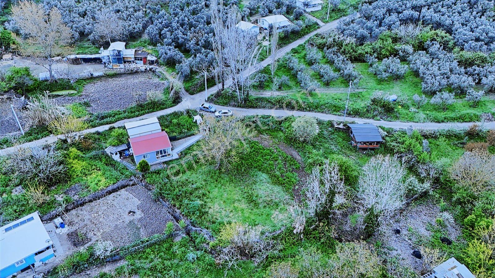 Esen'den Mudanya/yalıçiftlik'te Satılık Resmi Yola Cephe - Görsel 20