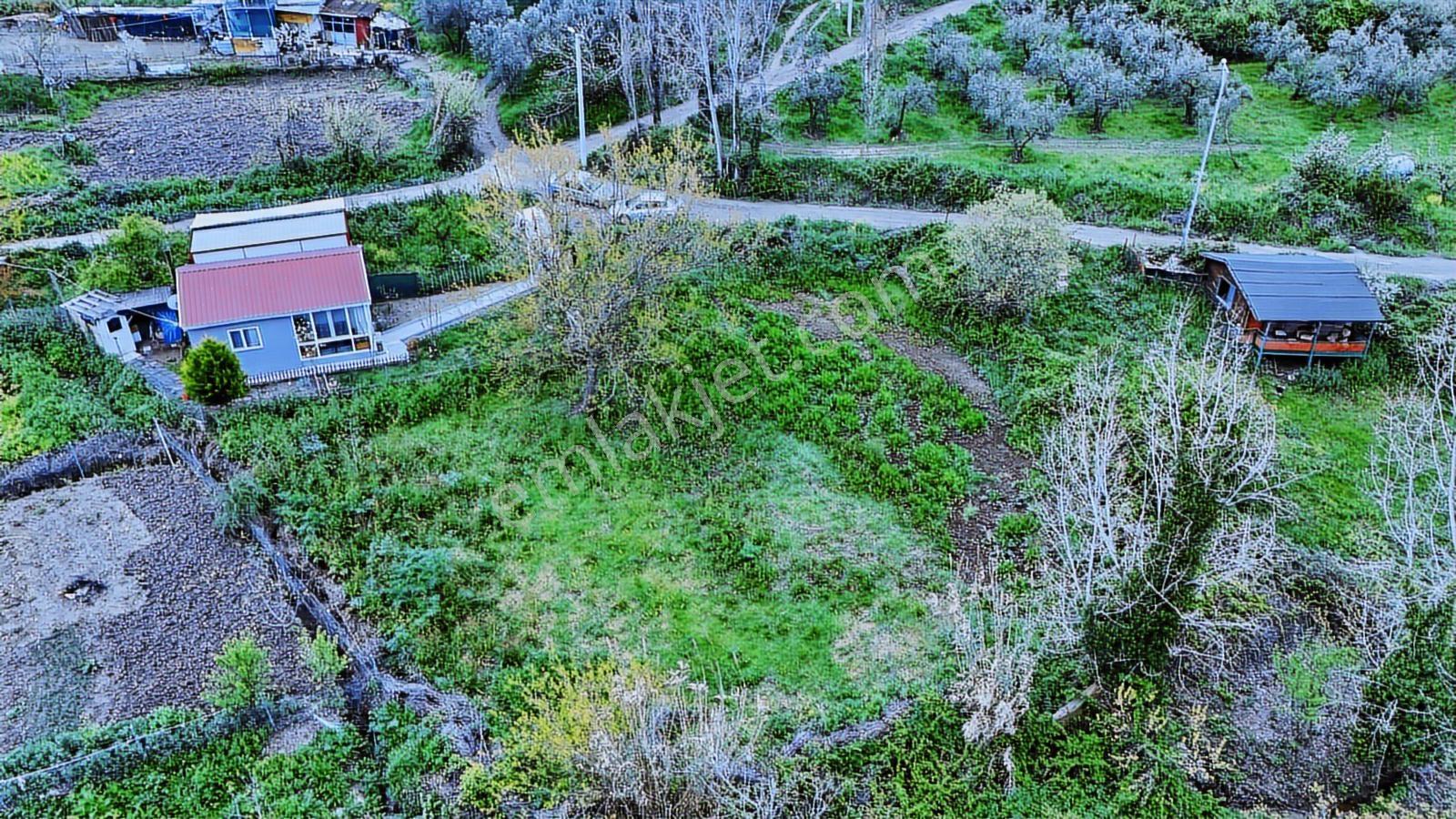 Esen'den Mudanya/yalıçiftlik'te Satılık Resmi Yola Cephe - Görsel 32