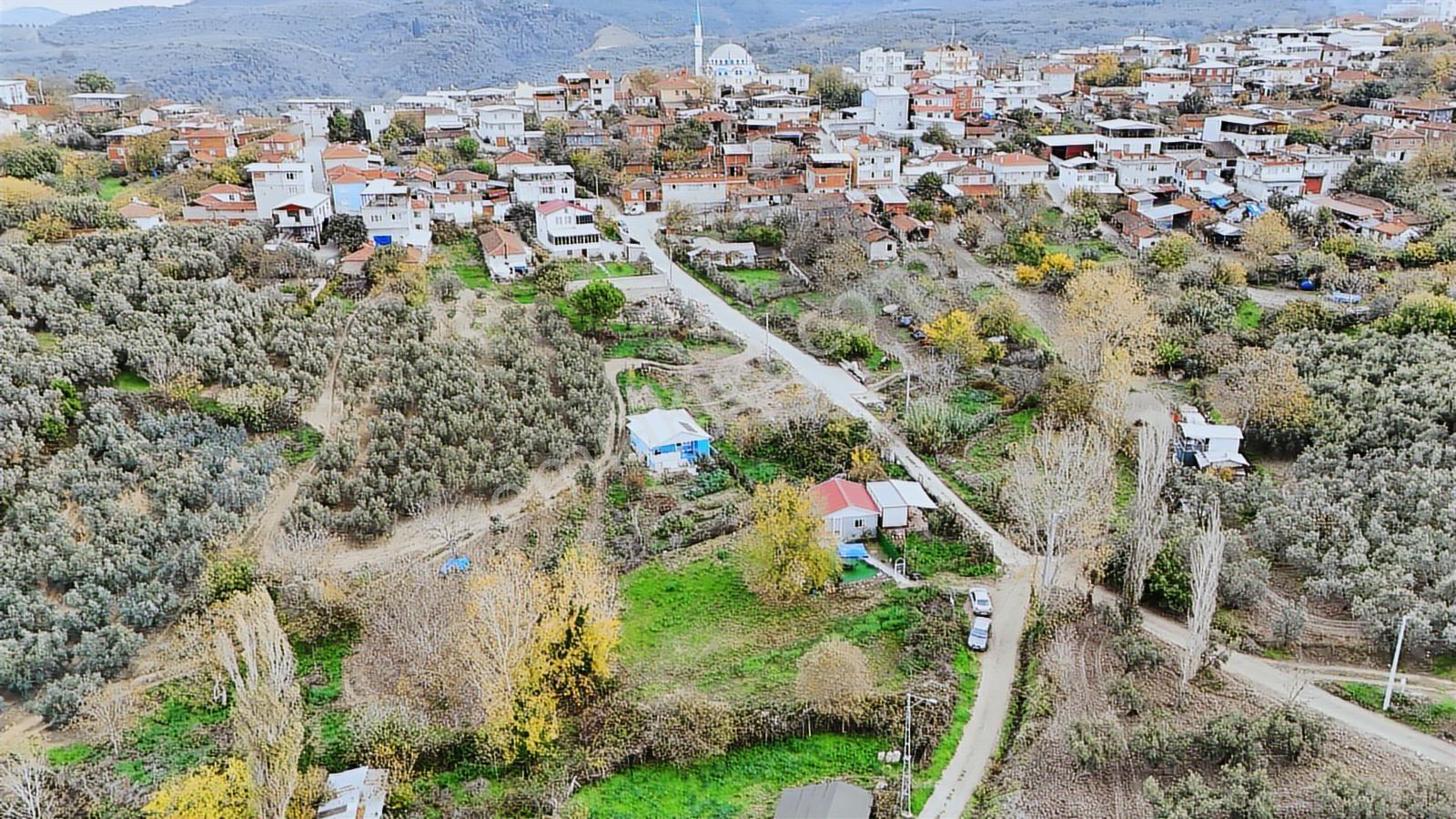 Esen'den Mudanya/yalıçiftlik'te Satılık Resmi Yola Cephe - Görsel 16