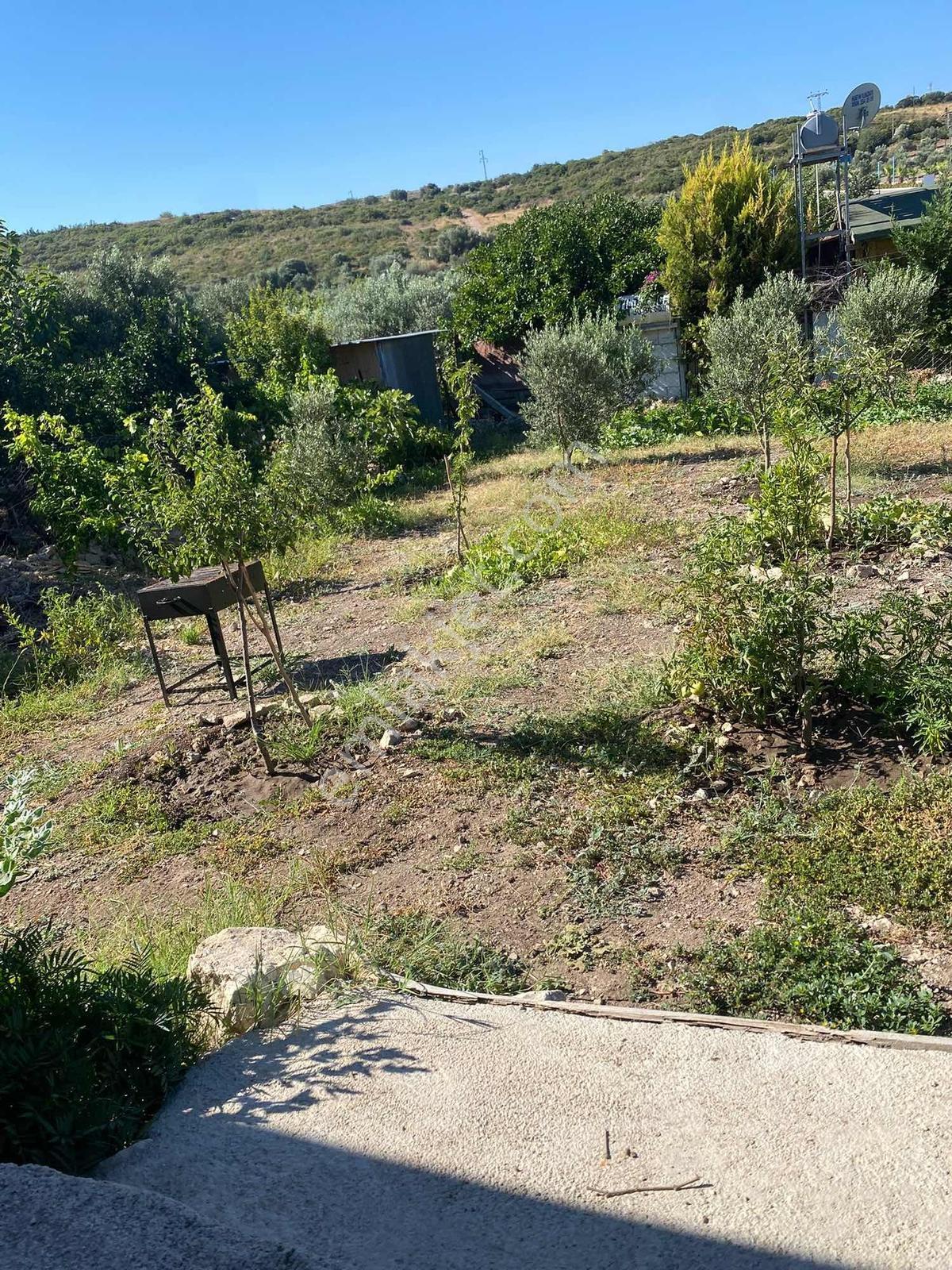 Taşburunda Denize Yakın Tel Örgülü Elektrik Su Mevcut 300m2 Arsa - Görsel 9