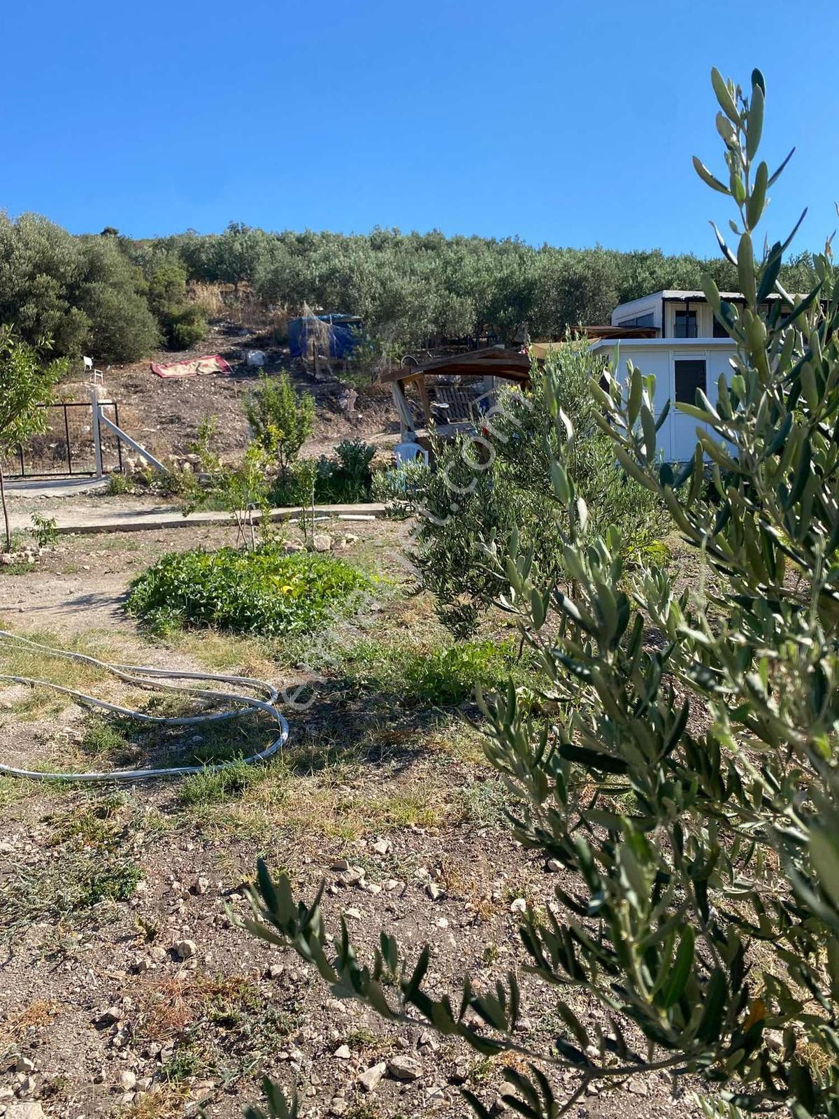 Taşburunda Denize Yakın Tel Örgülü Elektrik Su Mevcut 300m2 Arsa - Görsel 8