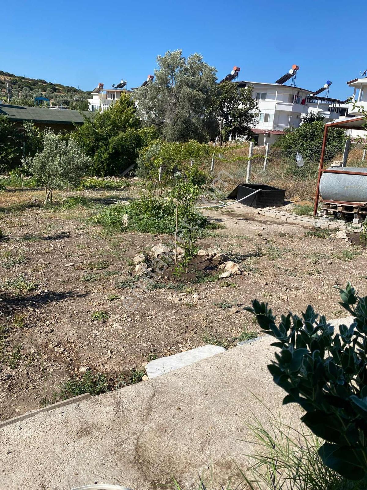 Taşburunda Denize Yakın Tel Örgülü Elektrik Su Mevcut 300m2 Arsa - Görsel 10