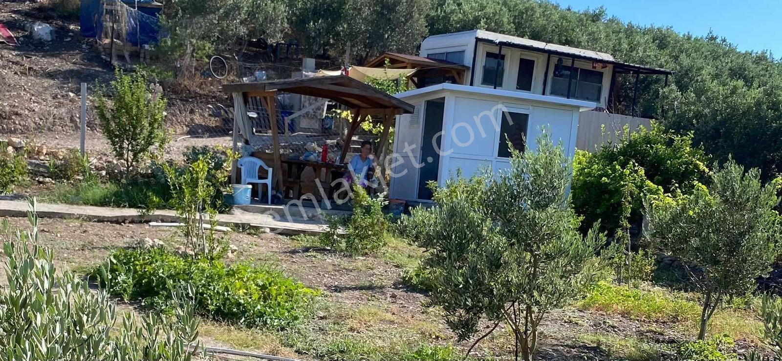 Taşburunda Denize Yakın Tel Örgülü Elektrik Su Mevcut 300m2 Arsa - Görsel 4