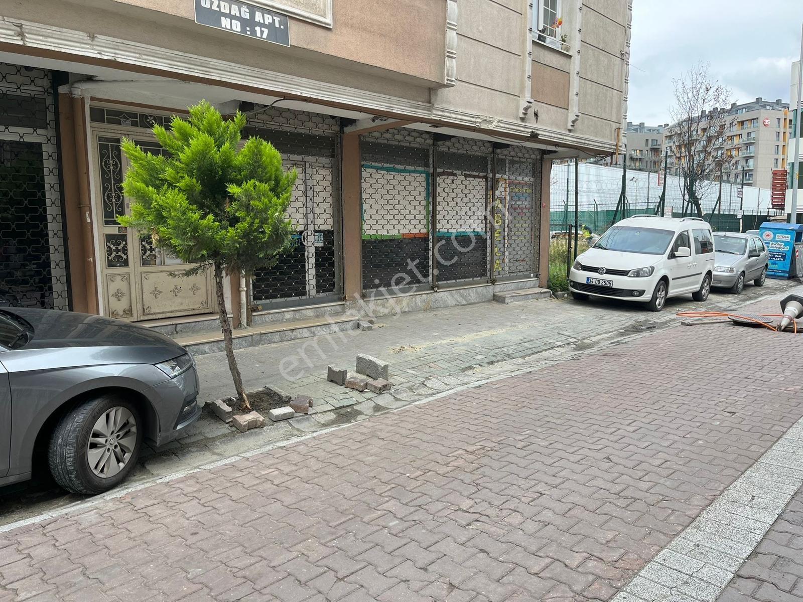 Pegaas'tan Üniversite Mh 2 Katlı Depolu Düz Giriş Satılık Dükkan - Görsel 2