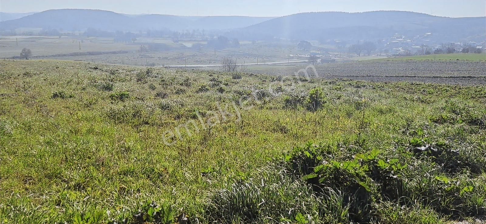 Bursa Mudanya Emirleryenicesi Köyünde Asfalta Cephe Satılık - Görsel 14