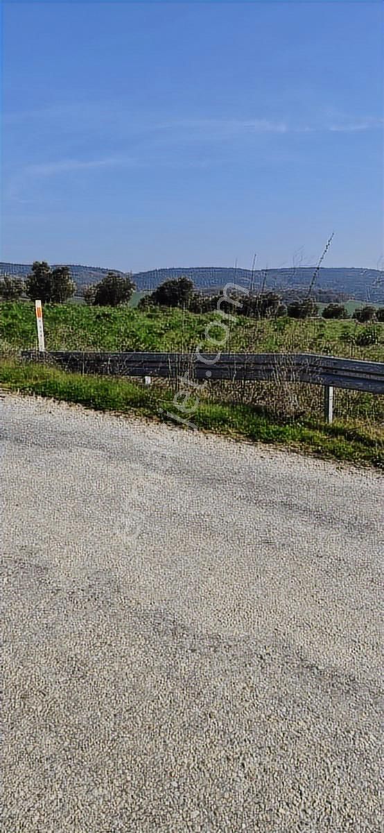 Bursa Mudanya Emirleryenicesi Köyünde Asfalta Cephe Satılık - Görsel 12
