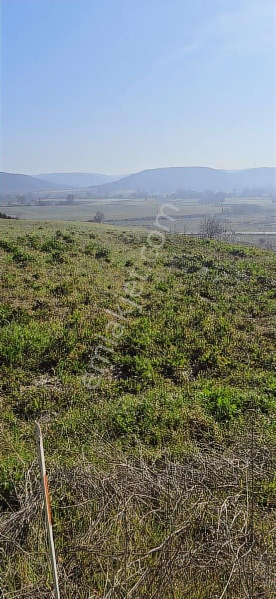 Bursa Mudanya Emirleryenicesi Köyünde Asfalta Cephe Satılık - Görsel 25