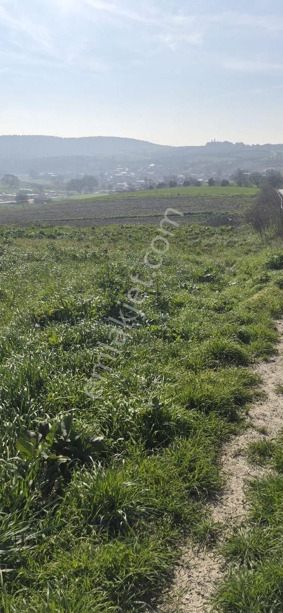 Bursa Mudanya Emirleryenicesi Köyünde Asfalta Cephe Satılık - Görsel 7