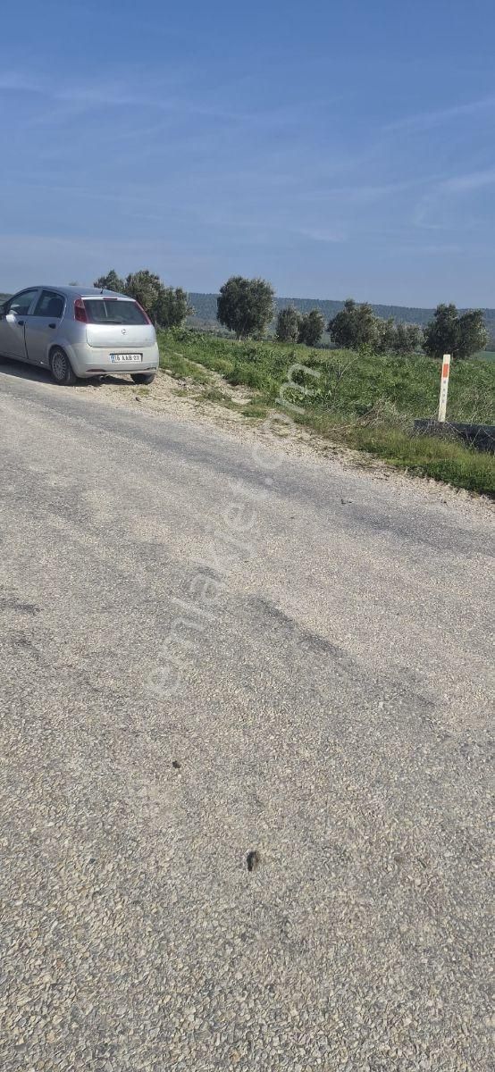 Bursa Mudanya Emirleryenicesi Köyünde Asfalta Cephe Satılık - Görsel 3