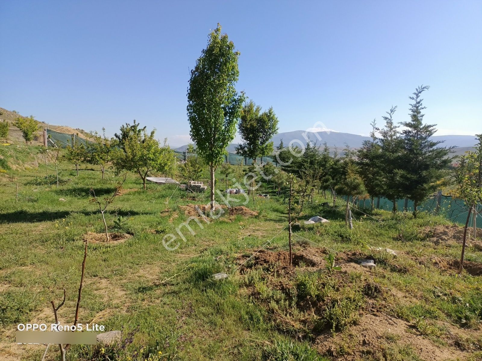 Sulutas'ta Satılık Büyük Bahçe - Görsel 25
