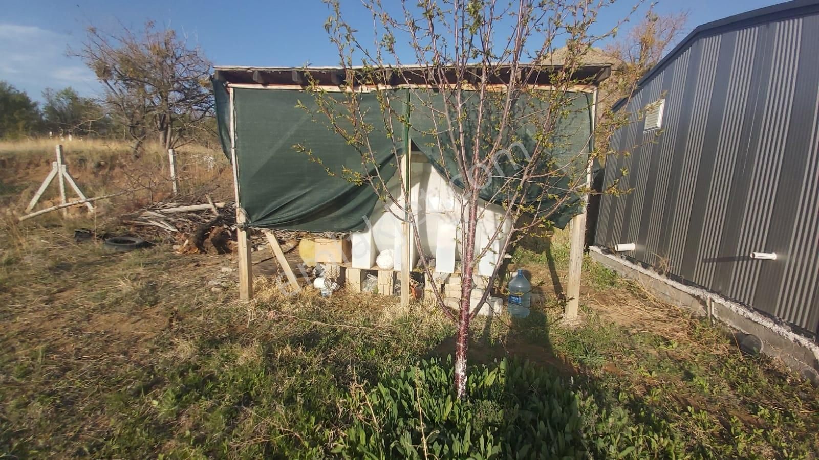 Sulutas'ta Satılık Büyük Bahçe - Görsel 12